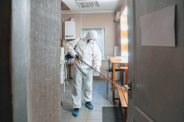 Forensic Mold Investigation in Moberly, MO